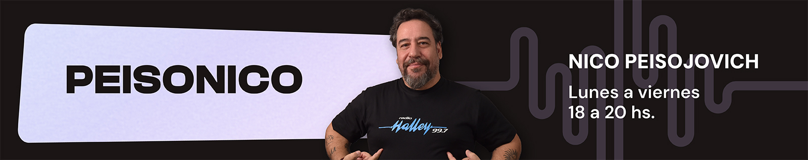 Banners-web-Radio-Halley_peisonico